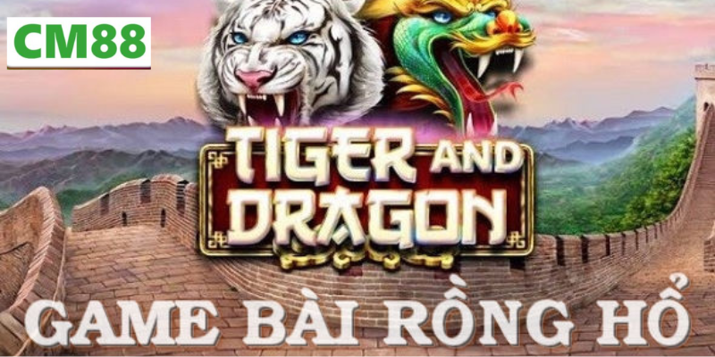 Luật cơ bản trong Cách chơi Rồng Hổ